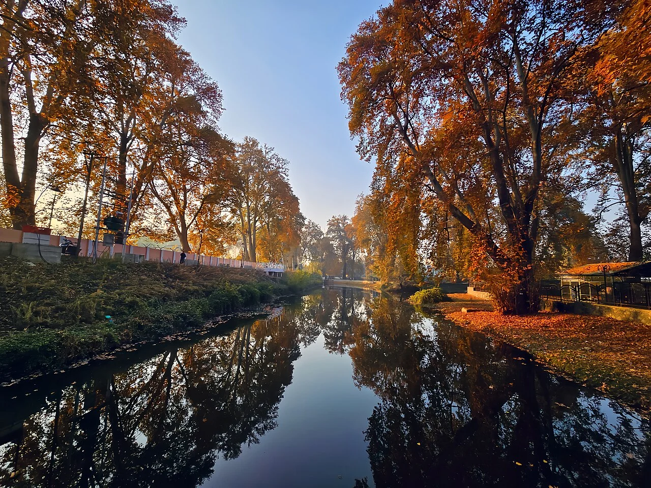 Chinar trees in autumn colour reflected in still water