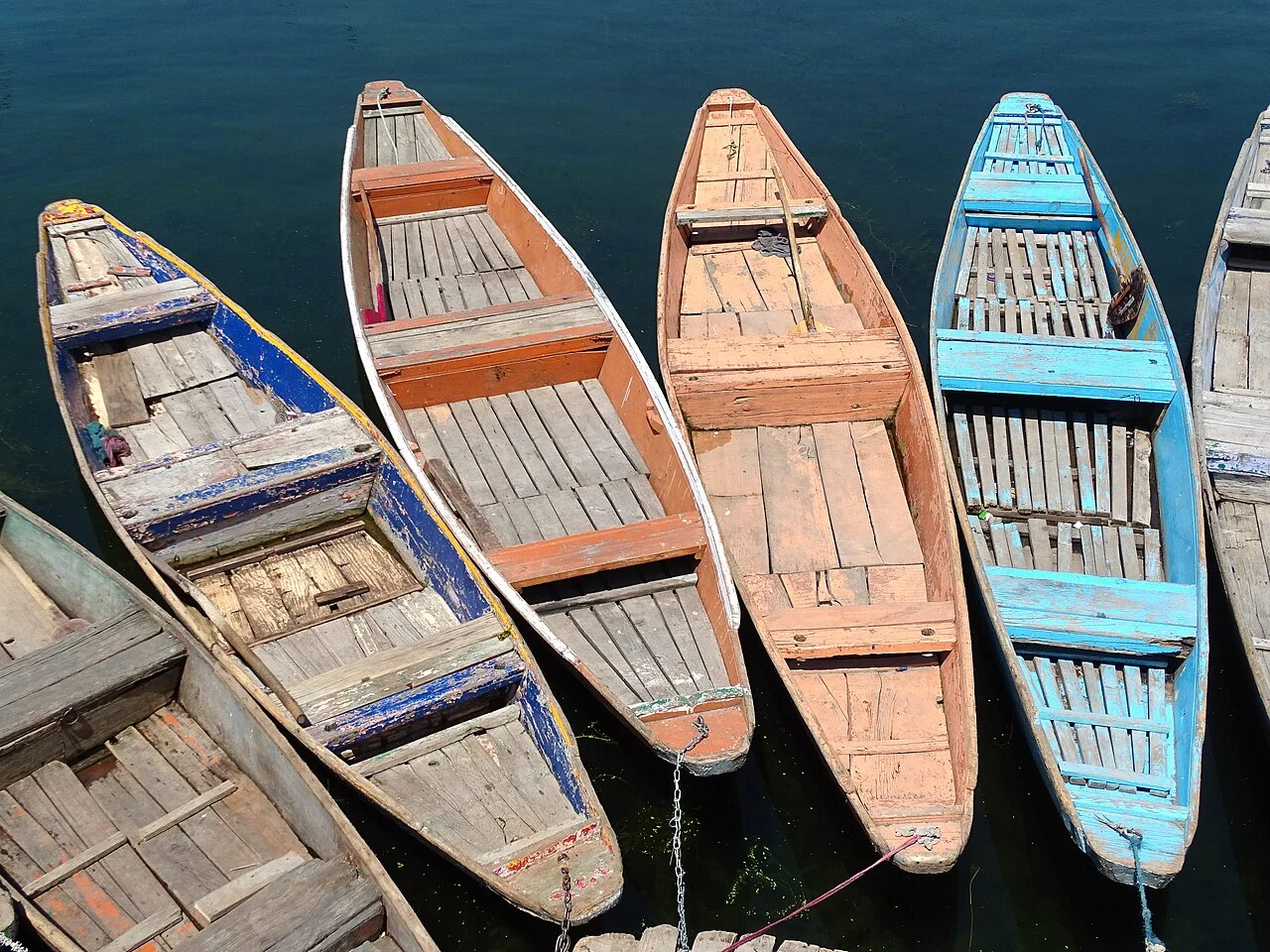Painted rowing boats moored on Dal Lake