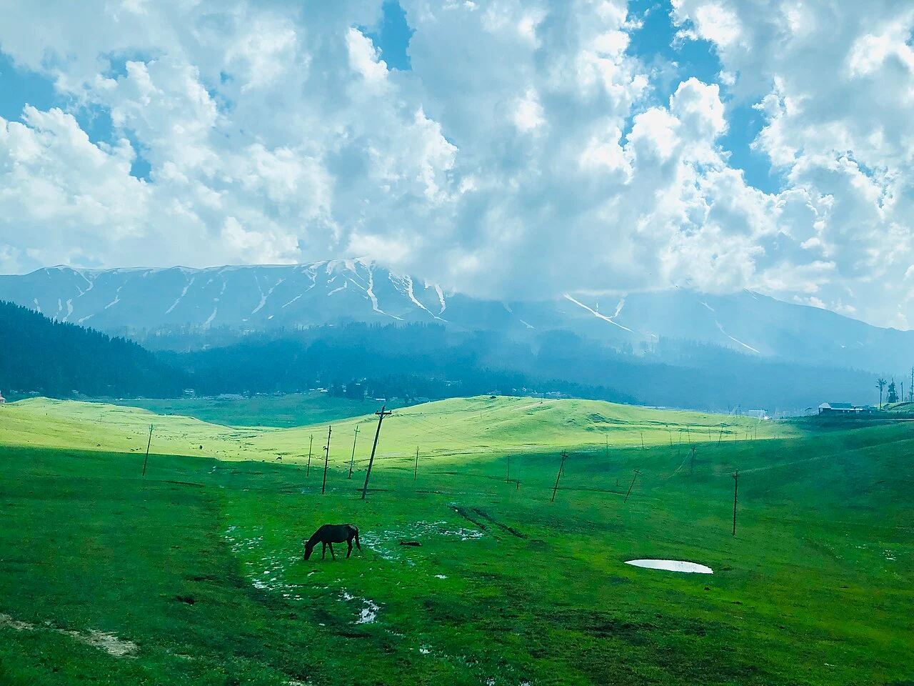 The open meadow at Khilanmarg with a horse grazing