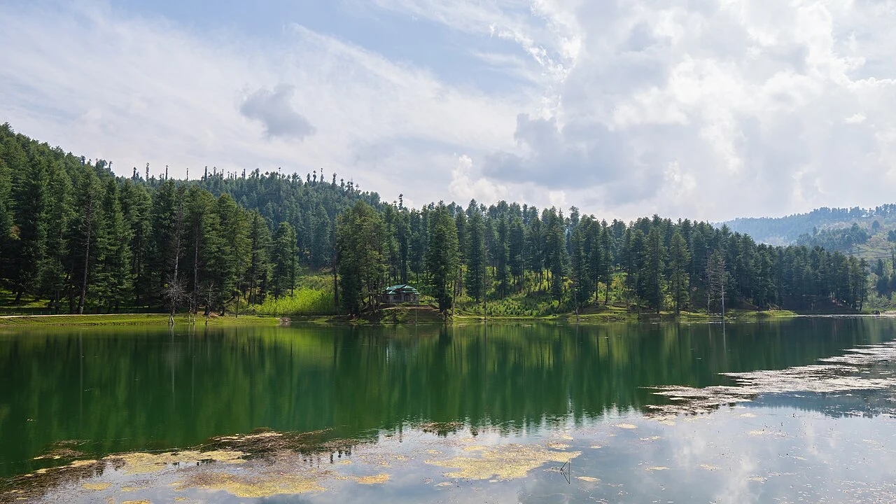 Nilnag Lake ringed by pine forest