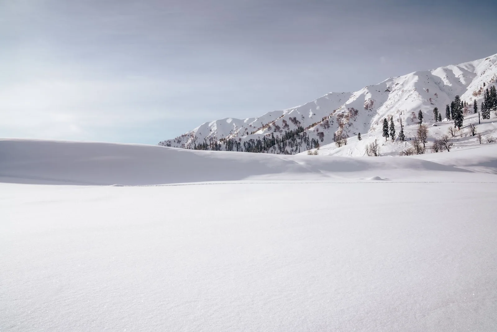 Unbroken snowfields beneath a mountain ridge in Gulmarg