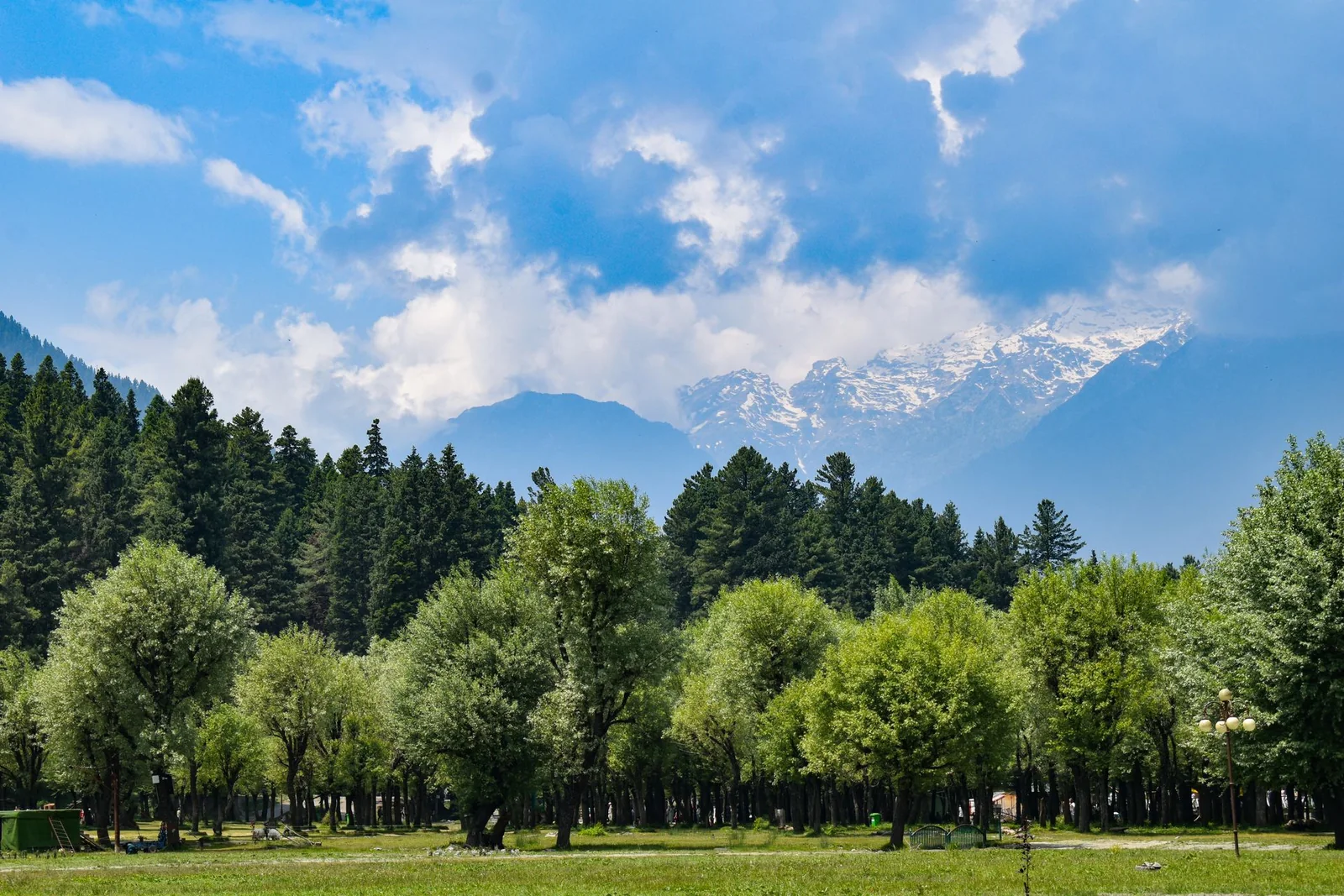 Green meadow and trees below Pahalgam’s forested hills