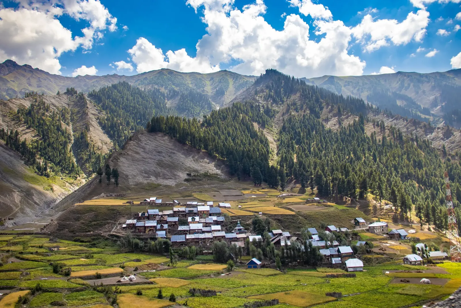 A village of wooden houses among green fields in a mountain valley in Gurez